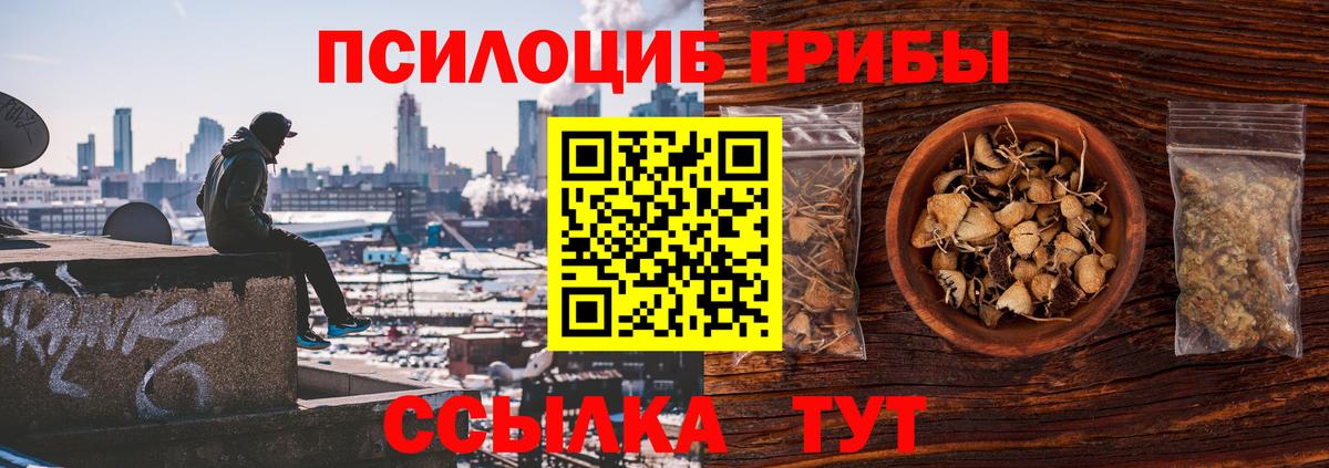 Великий Устюг  Псилоцибиновые грибы мухоморы  Вход с VPN 